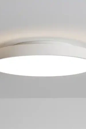 Isyluce plafoniera led 39w 3000k 4000k dimmerabile bianca rotonda Quantità Limitata