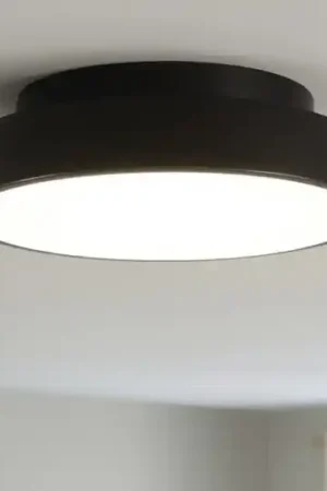 Soddisfatti O Rimborsati Plafoniera nera tonda led 3000k 4000k isyluce