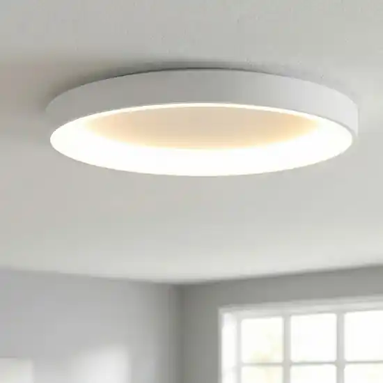Plafoniera anello 65cm bianco led 60w 2700k-5000k con telecomando app Popolare
