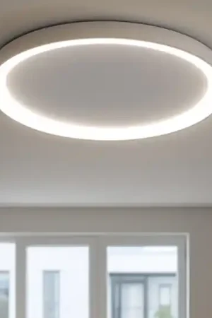 Affare Plafoniera led 60w ovale vivida lifering-r titanio 3000k 4000k dimmerabile