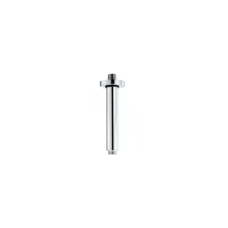 BOSSINI Braccio doccia verticale da 20 cm ø 2,8 cm Professionale