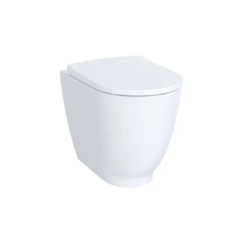 GEBERIT Acanto vaso filo parete con copriwater Offerta Del Giorno