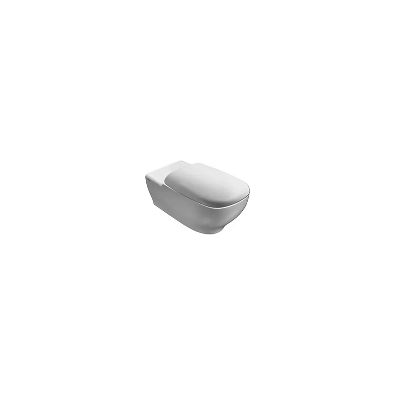CERAMICA GLOBO Argento vaso sospeso per disabili Novità