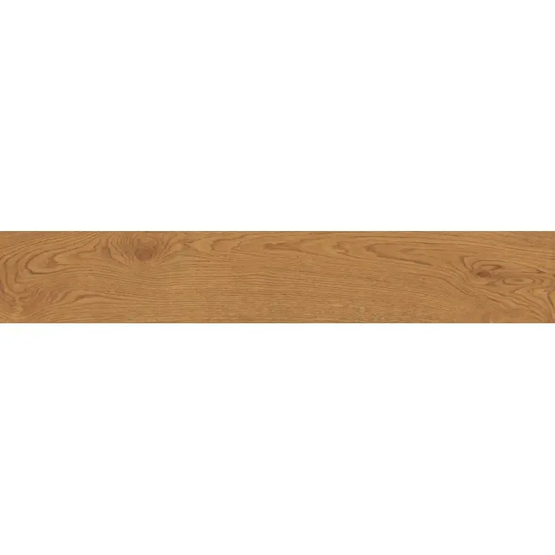 ATLAS CONCORDE Exence Amber 20x120 Esclusivo