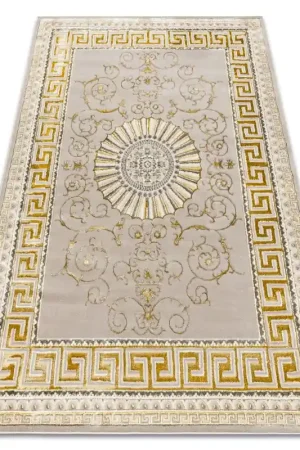Acquista Ora Tappeto BLISS Z160AZ147 beige scuro / oro - Bordo, greco esclusivo, strutturato - CLASSE 2