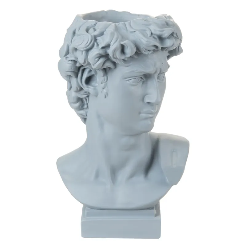 Testa di uomo David con vaso in stile moderno in varie colorazioni Spedizione Espresso