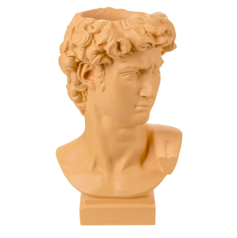Testa di uomo David con vaso in stile moderno in varie colorazioni Offerta Del Giorno