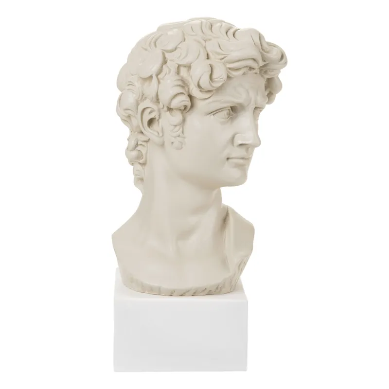 Scelto Dai Clienti Busto di David piccolo in stile moderno in varie colorazioni con base