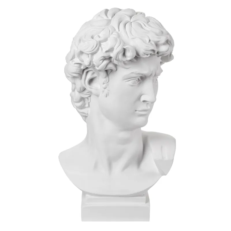 Popolare Busto di David grande in stile moderno in vari colori con base