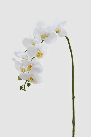 Pianta artificiale con il ramo di Orchidea Ultimissimo Modello