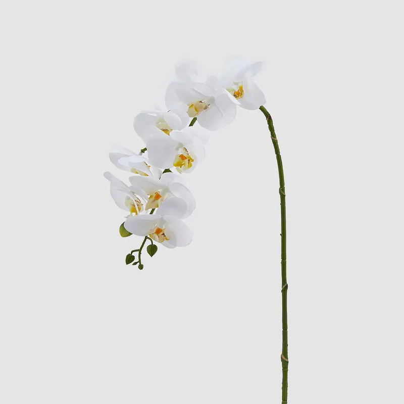 Pianta artificiale con il ramo di Orchidea Ultimissimo Modello