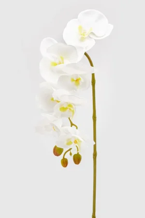 Pianta artificiale rametto di Orchidea Olisramo Di Tendenza