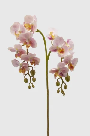 Pianta artificiale con rametto di Orchidea Olis Occasione Imperdibile