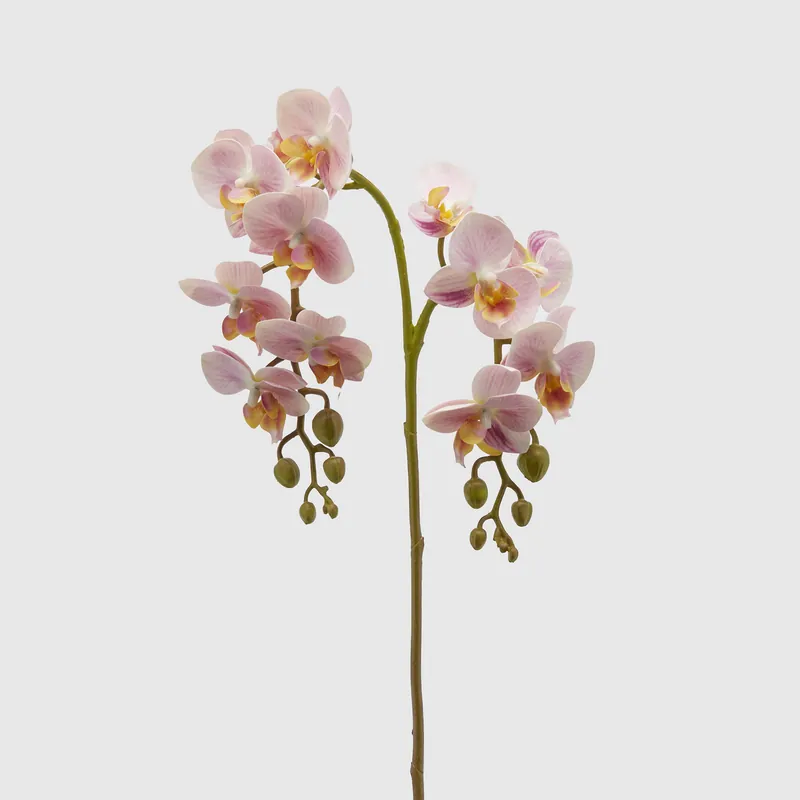 Pianta artificiale con rametto di Orchidea Olis Occasione Imperdibile