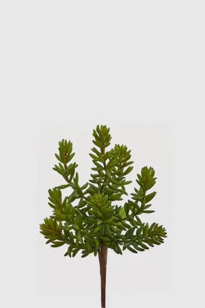 Prezzo Basso Pianta artificiale rametto di Succul.West Pick