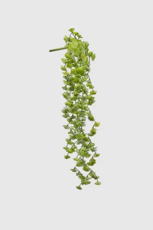 Affare Piantina artificiale con cespuglio di Echeveria Olis