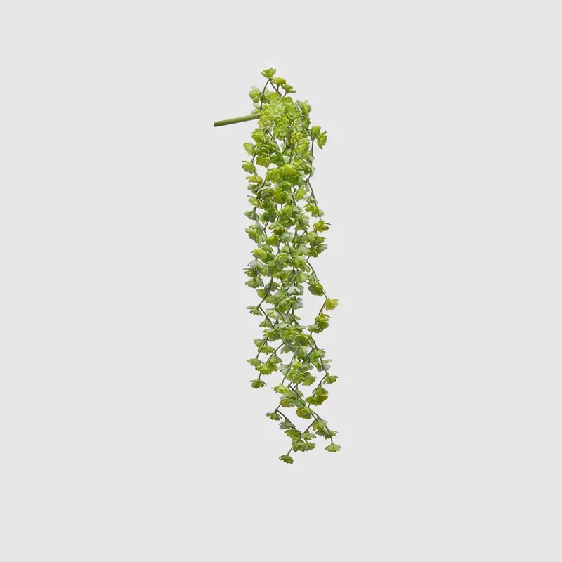 Affare Piantina artificiale con cespuglio di Echeveria Olis