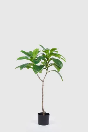 Piantina artificiale con alberello di Elaeocarpus Chic Quantità Limitata