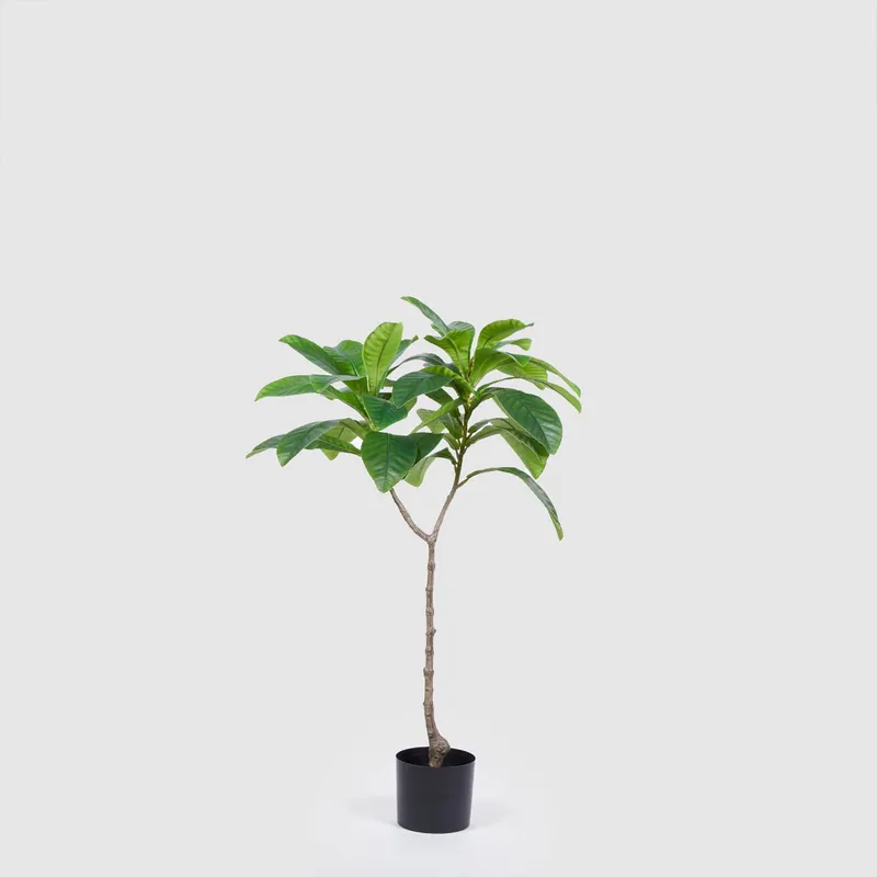 Piantina artificiale con alberello di Elaeocarpus Chic Quantità Limitata