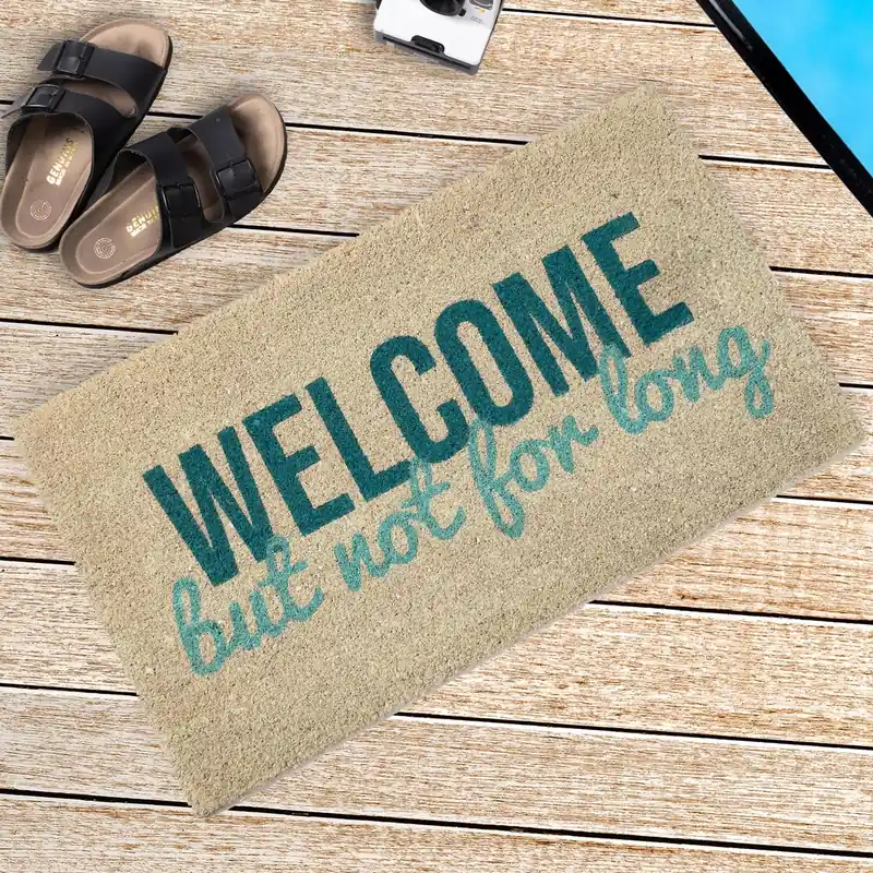 Zerbino Welcome but not for long Esclusivo