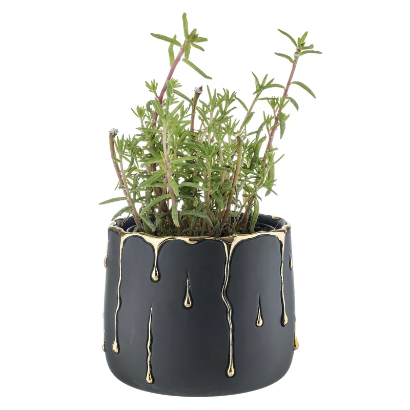 Offerta Speciale Vaso piccolo in marmorino con decori a goccia design elagante con piantina