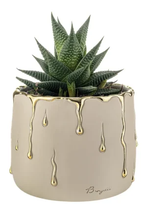 Vaso piccolo in marmorino con decori a goccia design elagante con piantina Nuovo Arrivo