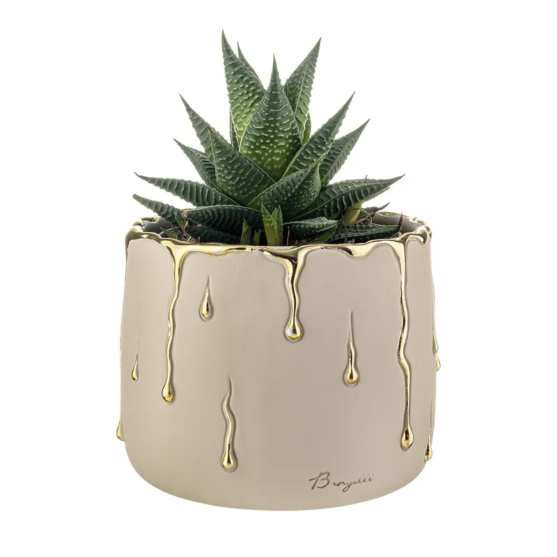 Subito Disponibile Vaso grande in marmorino con decori a goccia design elagante con piantina