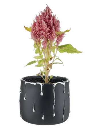 Vaso grande in marmorino con decori a goccia design elagante con piantina Promozione Esclusiva