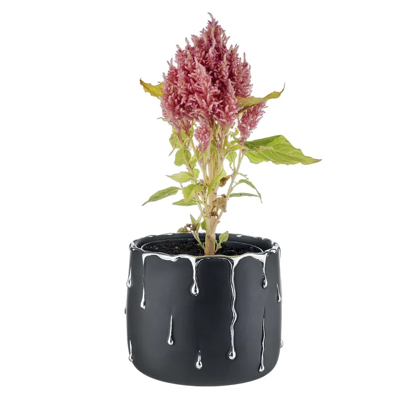 Vaso grande in marmorino con decori a goccia design elagante con piantina Promozione Esclusiva