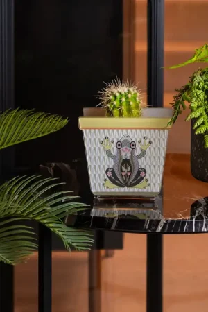 A Buon Prezzo Portavaso piccolo in plexiglass dal design moderno