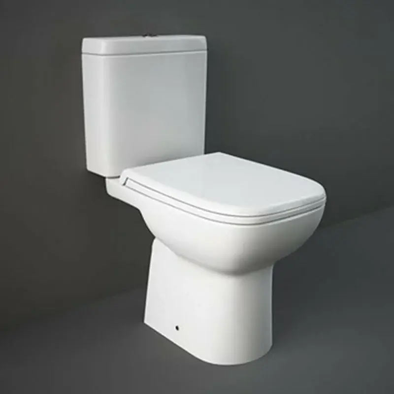 Wc monoblocco tradizionale scarico a terra Rak Origin con sedile Professionale