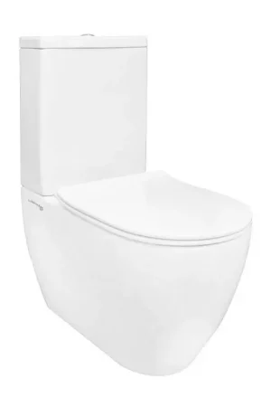 Affare Vaso monoblocco filomuro rimless completo di sedile soft close