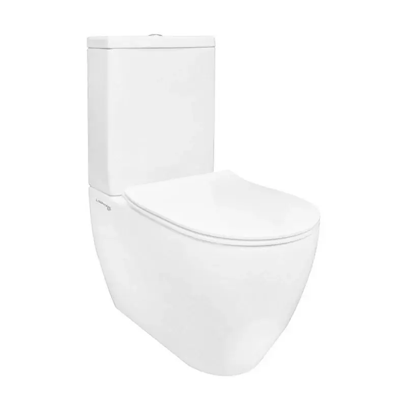 Affare Vaso monoblocco filomuro rimless completo di sedile soft close