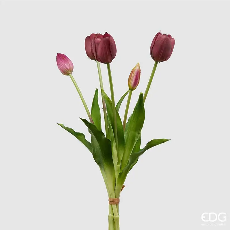 EDG Enzo de Gasperi Bouquet di tulipani Purple Nuovo Arrivo