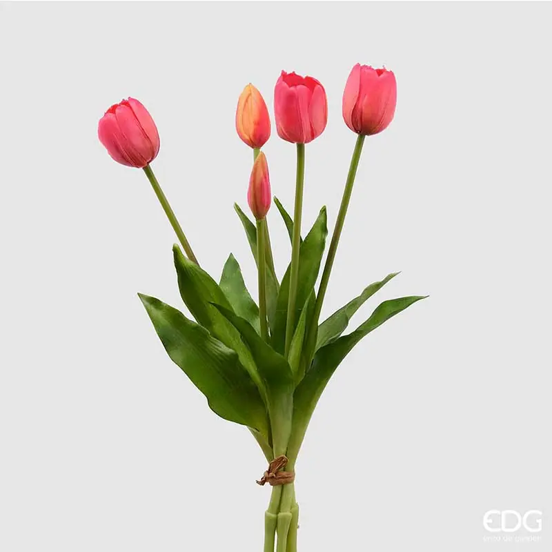 EDG Enzo de Gasperi Bouquet di tulipani Fucsia Pagamento Sicuro