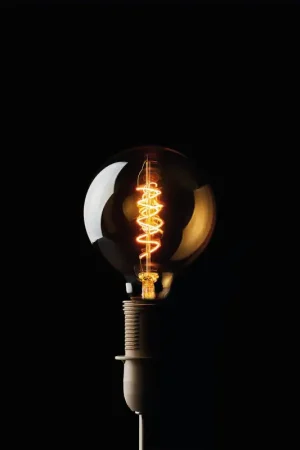 Consegna Rapida EDG Enzo de Gasperi Lampadina Edison a filamento 14.5 cm