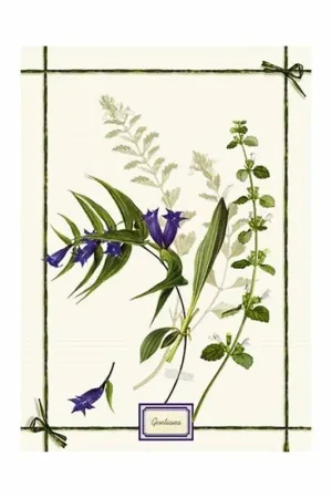 Must-Have Tessitura Toscana Strofinaccio Fragrance Cicoria 50x70 cm