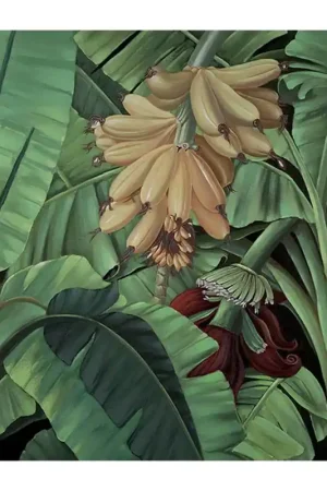 Subito Disponibile Agave Quadro Il Banano Dipinto a Mano 100x100 cm