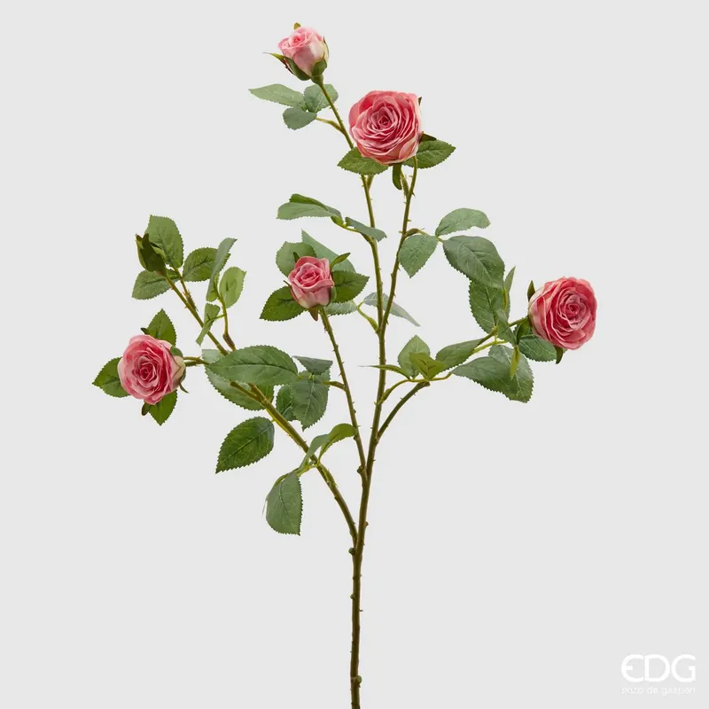 EDG Enzo De Gasperi Ramo di Rosa Duke 5 Fiori H68 cm Prezzo Ridotto