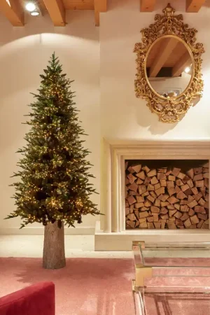 Affare EDG Enzo de Gasperi Albero di Natale Pino Luxury New 180 cm con 2000 mini led D100