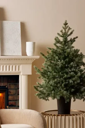 Affare EDG Enzo De Gasperi Pino Argentato H120 D99 cm con Vaso