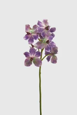 Vendita Finale EDG Enzo De Gasperi Ramo Artificiale di Orchidea Vanda H70 cm Lilla Sfumato