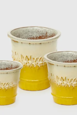 EDG Enzo De Gasperi Vaso Glaze Atlas Limoni Svasato H29 D31 cm Solo Oggi
