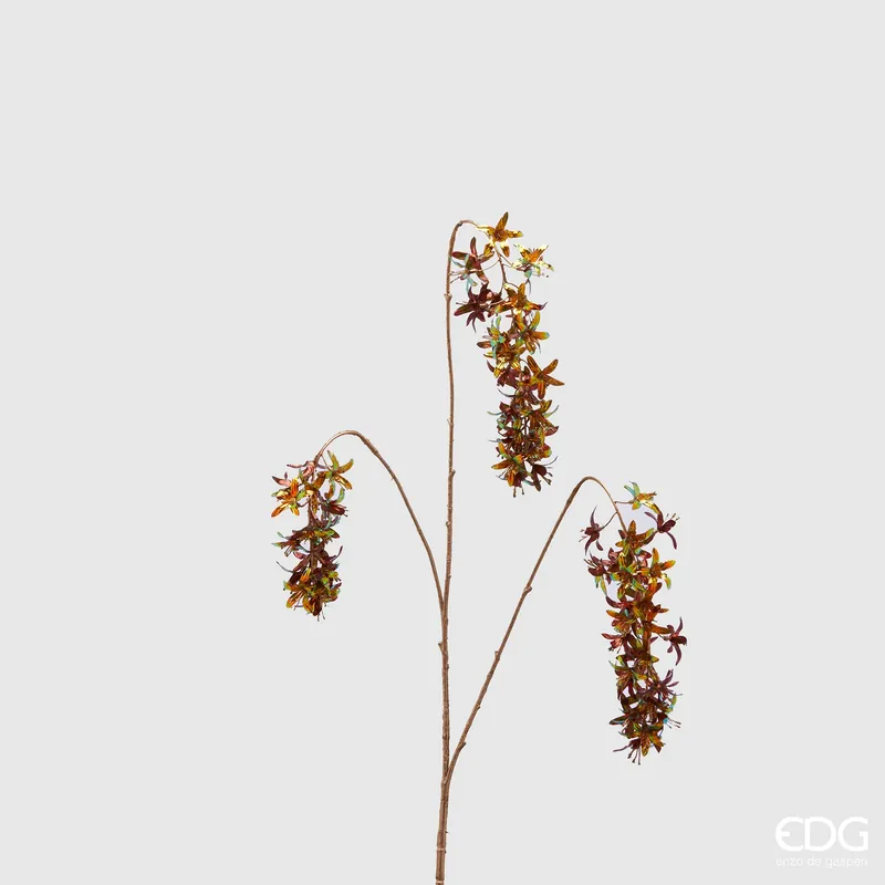 Offerta EDG Enzo De Gasperi Prunus Lusitanica Rex H104 cm