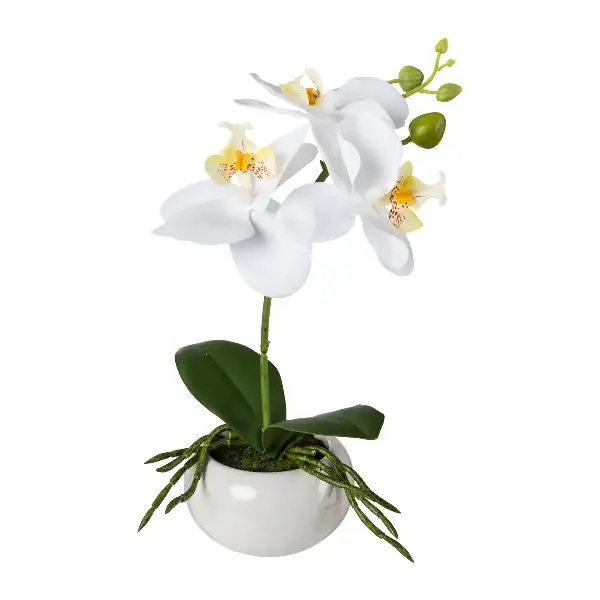 Occasione Gasper Orchidea Phalaenopsis con vaso in ceramica H27 cm Bianco