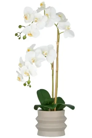 Offerta Del Giorno Gasper Orchidea Phalaenopsis con vaso in ceramica H60 cm Bianco