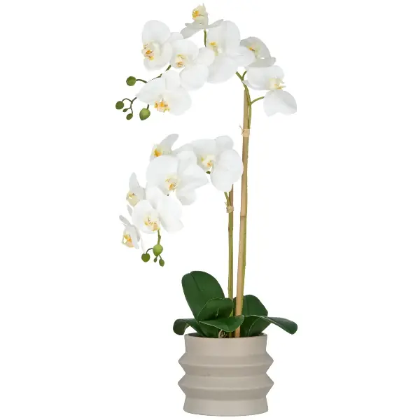 Offerta Del Giorno Gasper Orchidea Phalaenopsis con vaso in ceramica H60 cm Bianco