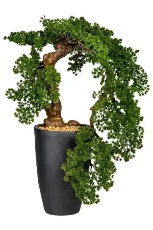 Offerta Lampo Gasper Bonsai Artificiale Larch Han Kengai H90 cm con Vaso