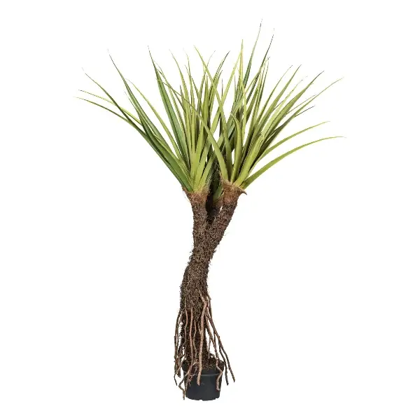 Gasper Pianta Artificiale di Pandanus Tectorius x3 H210 cm con Vaso Scelto Dai Clienti