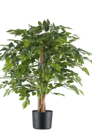 Di Tendenza Gasper Pianta Artificiale di Ficus Benjamina H85 cm con Vaso